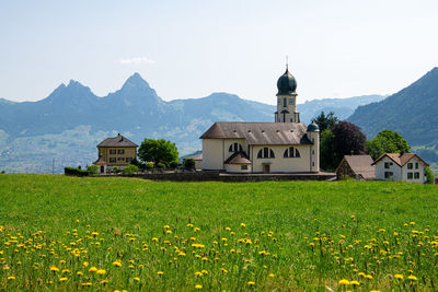 mountain