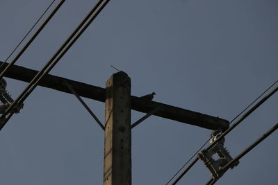 Low angle view of birds on cables against clear sky