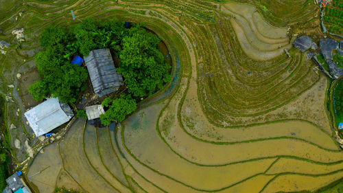 High angle view of green landscape