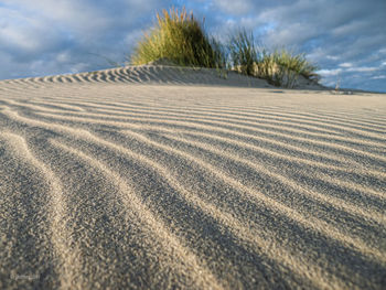 Surface level of sand dunes against sky