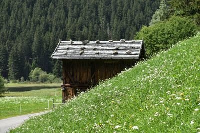 Wooden fence on field by trees in forest