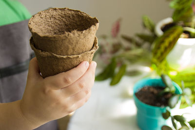 Children's hands hold peat pots for planting plants