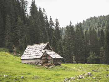 Wooden cabin in the slovenian alps