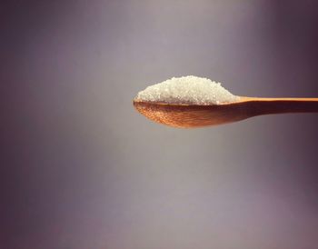 Close-up of bread against white background