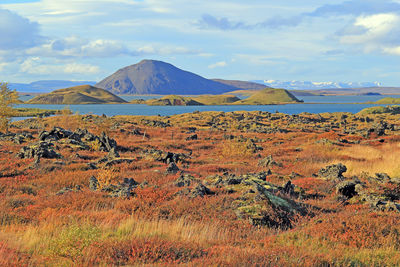 Scenic view of field against sky