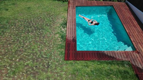 High angle view of bird perching on green grass