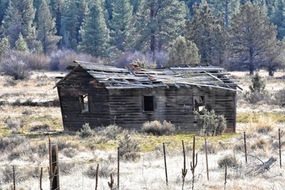 Close-up of abandoned built structure in forest