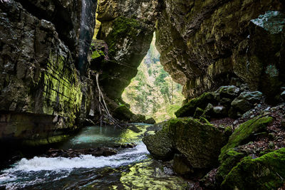 Scenic view of waterfall