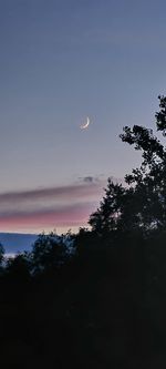 Low angle view of silhouette trees against sky at night