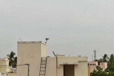 Low angle view of bird perching on building against sky