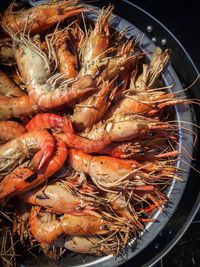 High angle view of seafood