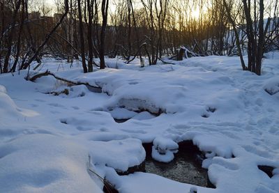 Scenic view of snow covered landscape