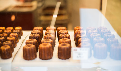Close-up of chocolate cake