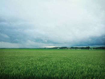 Scenic view of field against cloudy sky