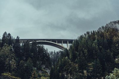 Low angle view of bridge in forest against sky