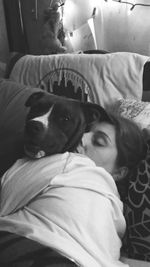 Portrait of a dog resting on sofa