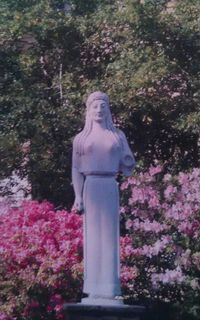 Flowers growing on tree