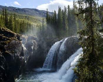 Scenic view of waterfall in forest