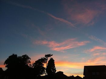 Silhouette of trees at sunset