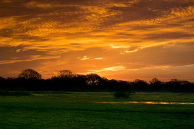 Scenic view of grassy field at sunset