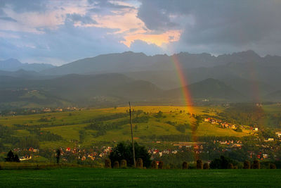 Scenic view of agricultural field against sky