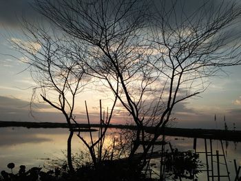 Silhouette bare tree by lake against sky during sunset