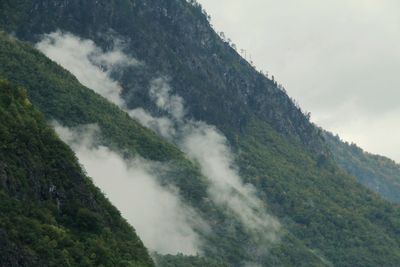 environment