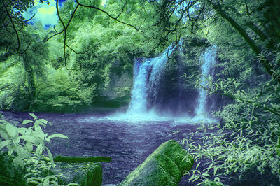 Scenic view of waterfall in forest