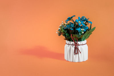 Close-up of potted plant against orange wall