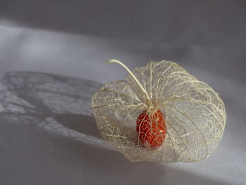 Close-up of strawberry on table