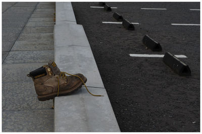 Low section of birds on road