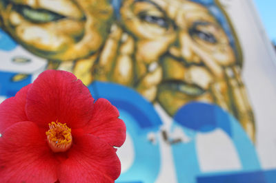 Close-up of flower against blurred background