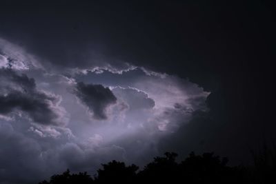 Low angle view of silhouette trees against sky at night