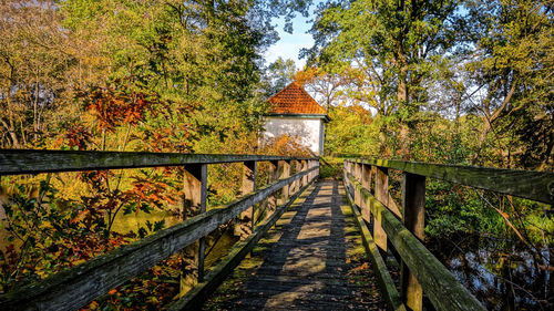 Footbridge in forest during autumn