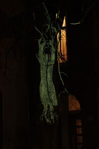 View of illuminated lights at night