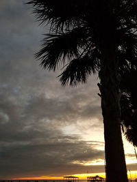 Low angle view of silhouette palm trees against sky during sunset