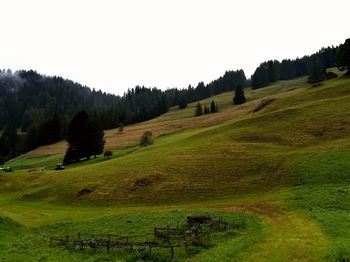 Scenic view of landscape against clear sky