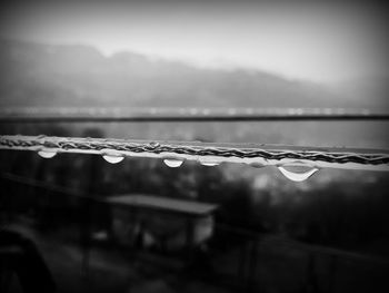 Close-up of water drops on spider web