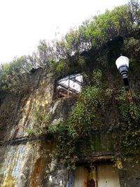 Low angle view of old building by trees against sky