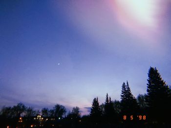 Low angle view of silhouette trees against sky at night