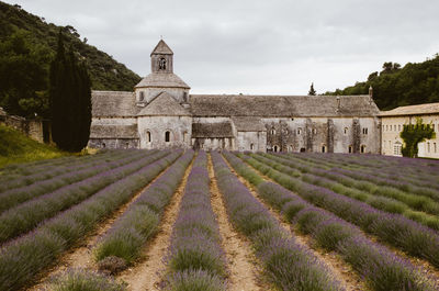 View of historical building in field