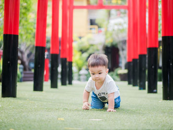 Full length of cute baby boy crawling on field amidst torii gate