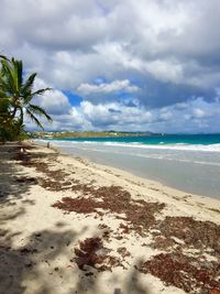 Scenic view of beach against cloudy sky