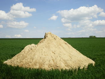 Scenic view of grassy field against sky