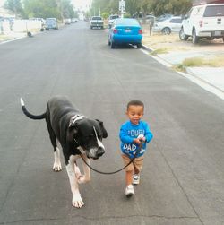 Dog standing on road