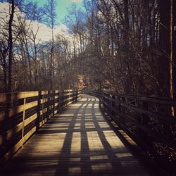 Empty wooden footbridge along trees