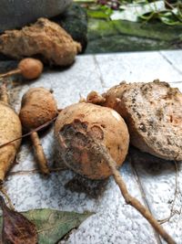 High angle view of bread on rocks