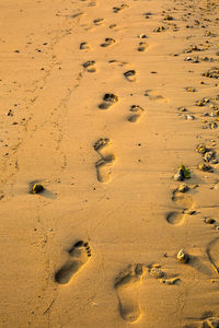 High angle view of footprints on sand at beach