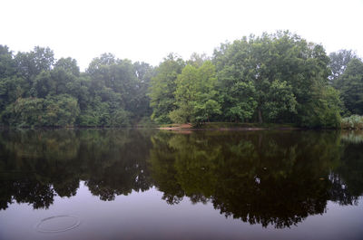 Reflection of trees in calm lake