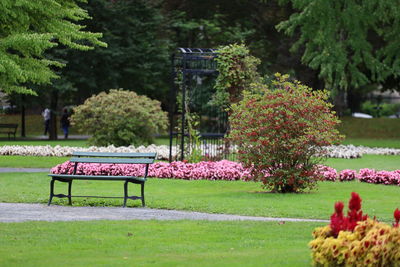 Empty bench in park